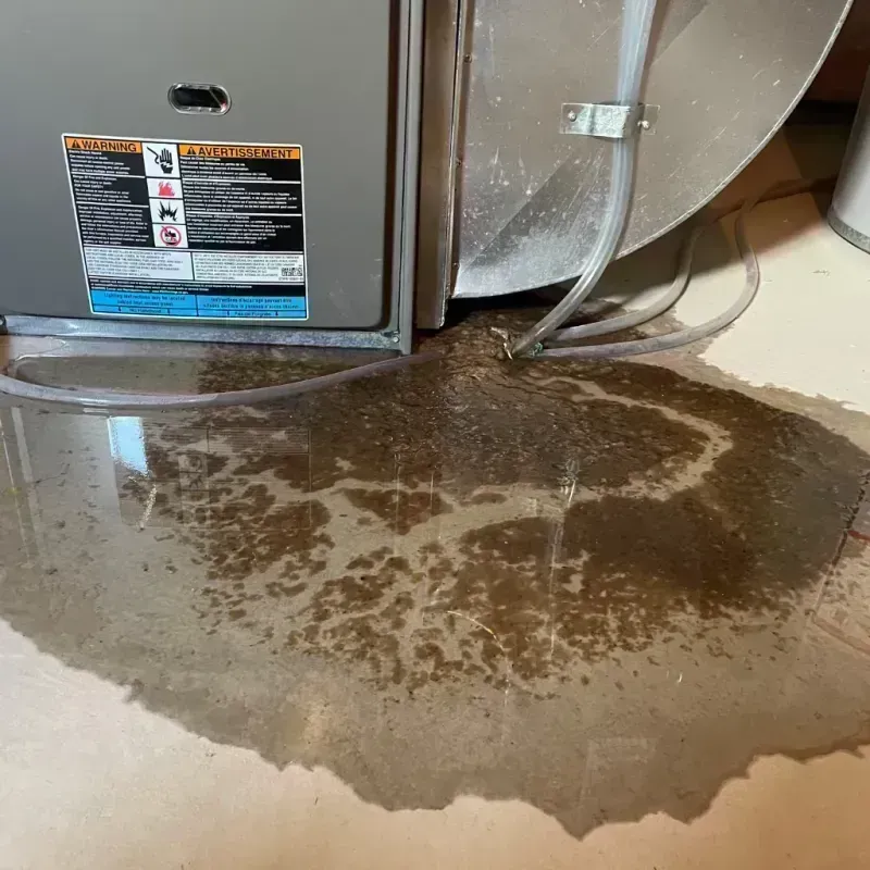 Appliance Leak Cleanup in Independence, MN